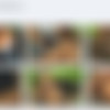 Brandy Talore MegaPack [41 scene] thumb