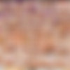 [SHOWYBEAUTY.COM] Image siterip, 437 sets [2018, 2019, 2020] thumb