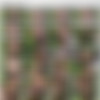 [PublicPickUps.com / Mofos.com] Amber Faye (Sex-Obsessed Amber Fucked Outside / 25.01.2017) [2017 ., POV,Outdoors,Sex,Masturbation,Doggystyle,Missionary,Blowjob, 1080p] thumb