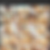 [dreamtranny.com] DreamTranny Collection thumbnail