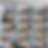 SpecialExamination.com [Siterip till August 2011] thumbnail