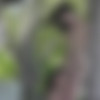 [PlayboyPlus.com] Magen Hana & Oksana Oksi - Sensual Vibes 21.08.2019 [Erotic] [1080p] thumb