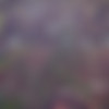 [hegre.com] 2018-11-20 Nuna Nude In India [Solo, Posing, 1080p, SiteRip] thumb
