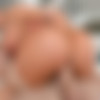 [BigTitCreamPie.com / BangBros.com] Brandi Bae (Brandi Bae’s Creampie Daze / 02.05.19) [2019 ., blowjob, white, pornstar, hardcore, cumshot, blonde, creampie, big tits, shaved, cowgirl, busty, big booty, stockings, doggystyle, missionary, riding, vaginal, 1080p] thumb