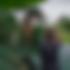 [Hegre.com] 2021-04-27 Clover - Clover Captured in Bali [solo, posing, BTS] [1080p, SiteRip] thumb