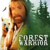 Forest Warrior [1996] / H264 / MKV / WEB / 1080p / AC3 / Subs / ISA thumb