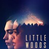 Little Woods [2019] / H264 / MKV / WEB / 720p / AC3 / NTG thumb