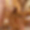 slanteyeforthewhiteguy.com Complete Siterip (49 Videos) (50 Photosets) (480p) thumb