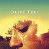 The Olive Tree [2016] / H264 / MKV / Blu-ray / 1080p / DTS / Spanish / Subs thumb