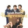 The Homecoming [1973] / H264 / MKV / Blu-ray / 1080p / FLAC / Subs thumb