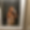 [Onlyfans Siterip] - bigbootynetty thumb