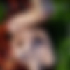 [EternalDesire.com] 2016 [Erotic, Solo, Posing][177 zip | 12643 jpg | 3840x5760 | High-Res] thumb