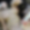 [Myfreecams.com / Manyvids.com] Codi Vore - 20  (Pack) [2016, Webcam,Blondes,Dildo,Oil,Bdsm,Lesbo,Masturbation,Amateur,POV,Big natural tits,Boobs,big ass,Pussy Pump.] thumbnail