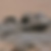 [MudPuddleVisuals.com] Megapack - 254 Clips thumb