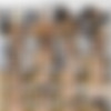 [WankitNow.com] Amy Latina (9 ) Pack [2013, Asian, Brunette, Blowjob, Cumshot, Dildo, Masturbation, Natural Tits, Solo] thumb