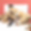 [HoneyTrans.com] Angel Marques & Gabi Maiia Two Busty Trans Hotties Enjoy Erotic Massage And Anal Banging (26 Oct, 2024) [2024 ., Shemale, Transsexual, Latina, Lingerie, Big Tits, Cumshot, Blowjob, Anal, High Heels, 4K, 2160p, SiteRip] thumb