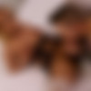[Groobygirls.com] Paradise In Heaven (01 Jun, 2023) [2023 ., Shemale, Transsexual, Small Tits, Lingerie, Hardcore, Blowjob, Anal, Bareback, Cumshot, 1080p, SiteRip] thumb