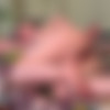 [AbbyWinters.com] Kseniya - Nude Girls Dildo In Pussy 20.09.19 [2019 ., Solo, Posing, Masturbate, Toys, Oil, Shaved, 1080p] thumb