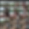 [InTheCrack.com] #1626 Lilu Moon [2020 ., Solo, Close ups, Masturbation, Toys, Indoor, 2160p] thumb