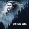 Winter's Bone [2010] / H264 / MKV / Blu-ray / 1080p / AC3 / Subs thumb