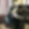 [2007 ., Rape, Incest, Teens, Oral Sex, SiteRip] thumb