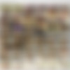 Chacha Anku (aka Ai Mizushima, Anku Tyatya) / - -... :  ,    -  [8042] (Akibahonpo.com) [uncen] [2013 ., Uncensored, All Sex, Reality, Blowjob, GAL, Gyno, Cunnilingus, POV, SiteRip] thumb