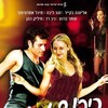 A Dangerous Dance [2007] / MPEG2 / VOB IFO / DVD / SD / AC3 / Hebrew / Subs thumb