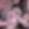 [SplatBukkake.com / UKxxxPass.com] Aurora Frost, Classy Filth, Tamsin Riley - Sexy threesome take some spunk in their faces (SB 172) (16.07.2022) [2022, Bukkake, MILF, Big Tits, Natural Tits, Handjob, Blowjob, Deep Throat, Cumshot, Facial, 720p] thumb