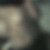 Decent amateur [Amateur] [ 572*278  6374  3585, 138] thumb