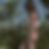 [MPLStudios.com] 2011-12-25 Helena - Perfect As You Are [Erotic, Solo, Masturbation, 720p, SiteRip] (3308v hi) thumb