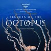 Secrets of the Octopus (2024) S01 (2160p DSNP WEB-DL Hybrid H265 DV HDR DDP 5 1 English - HONE) thumb