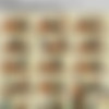 SpecialExamination.com [Siterip till August 2011] thumbnail