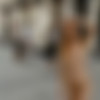 [NIP-Activity.com] Siterip UPDATE (192 ) [2021 - 2023*, Exhibitionism, Nude In Public, Public Nudity, Outdoor, Walking, 1080p] thumb