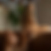 [Playboyplus.com] 2022-06-10 Nicole Aniston - Comfort of Home [Solo, Posing, Tattoo, Glamour] [2160p] thumb