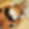 [PerfectGonzo] PurePOV.com - SITERIP [70 Scenes - 540p/1080p - 69 ImageSets] [2007-2008] thumbnail