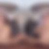 [XSinsVR.com / SinsVR] Layla Scarlett - Scent of Marrakech [03.08.2024, Anal, Blow Job, Brunette, Close Ups, Cowgirl, Cumshots, Dildos, Doggy Style, Footjob, Hand Job, Hardcore, Missionary, Pierced Navel, Pov, Reverse Cowgirl, Shaved Pussy, Tattoo, Toys, Virtual Reality, SideBySide, 8K, 4096p] [Oculus Rift / Quest 2 / Vive] thumb