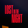 Lost in the Night [2023] / H264 / MKV / WEB / 1080p / AC3 / Spanish / Subs / FLUX thumb