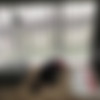 [OnlyFans.com] Amirah Adara (368 Clips & 973 Images) - @amirahadarax - 2020/01/25 - 2021/02/27 thumb
