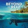 Beyond the Reef 2022 1080p AMZN WEB-DL DDP 5 1 H 264-OnlyWeb thumb