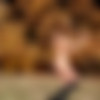 [Watch4Beauty.com] 2015-11-15 Chrissy Fox – Autumn Colors Backstage [2015 ., Solo, Posing, 1080p] thumb