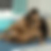 [ViPissy.com] Kristina Grace, Mini Mitzi - Soaked Sheets [2024-10-08, Lesbian, Brunettes, Barefoot, Pissing, Close Up, Masturbation, Vibrator, Russian Girl, 1080p, SATRip] thumb