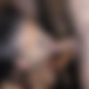 [SplatBukkake.com / UKxxxPass.com] Gigi Rouge, Amelia Grace, Evangeline Love, Niki, Tatty Tyler - 2021 Christmas bukkake - Part 1 (SB 158) (03.03.2022) [2022, Bukkake, Brunette, Blonde, Redhead, MILF, Big Tits, Tattoo, Piercing, Blowjob, Handjob, Facial, 4K, 2160p] thumb