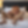 UNCUT 22 /  22 (Mick Blue, Evil Angel) [2023 ., Anal, Asian, Hardcore, Natural Tits, Big Tits, Deepthroat, Gonzo, Pantyhose, Blowjob, Ass To Mouth, Pussy To Mouth, POV, Blonde, Brunette, Tattoo, Bubble Butt, Fingering, Rimming, Small Tits, Lingerie, WEB-DL, 1080p] (Split Scenes) (Athena Anderson, Nicole Aria, Nicole Doshi, Selena Ivy) thumb