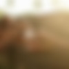 [PlayboyPlus.com] Kay J & Jana Bubu (Sunlit Embrace) Kay J & Jana Bubu - Sunlit Embrace 03.07.19 [2019, Erotic, 1080p] thumb