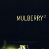 Mulberry Street [2006] / H264 / MKV / WEB / 1080p / AC3 / Subs / KAIZEN thumb