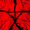Blair Witch 2016 1080p AMZN WEB-DL DD+ 5 1 H 264-GPRS thumb