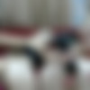 Lettali 4 [2017 ., Lesbians,AnalToys, WebCam] thumb