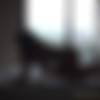 [Petracentral.com] 2017-10-14 Petra Verkaik - Shadow & Silhouette [Solo, Brunettes, Erotic, Big tits, Posing] [1080p, SiteRip] thumb