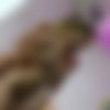 [NebraskaCoeds.com] 2021-04-07 Evelina & Miss PussyCat - Miss Pussycat And Young Evelina Sexy Striptease Lap Dance [Lesbian] [1080p, HDRip] thumb