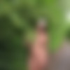 Cute flashing amateur [Amateur] [ 1787*1163  2048*1853, 75] thumb
